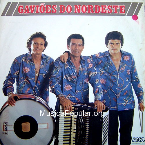 gaviaues-do-nordeste-capa-frente gaviaues-do-nordeste-capa-frente